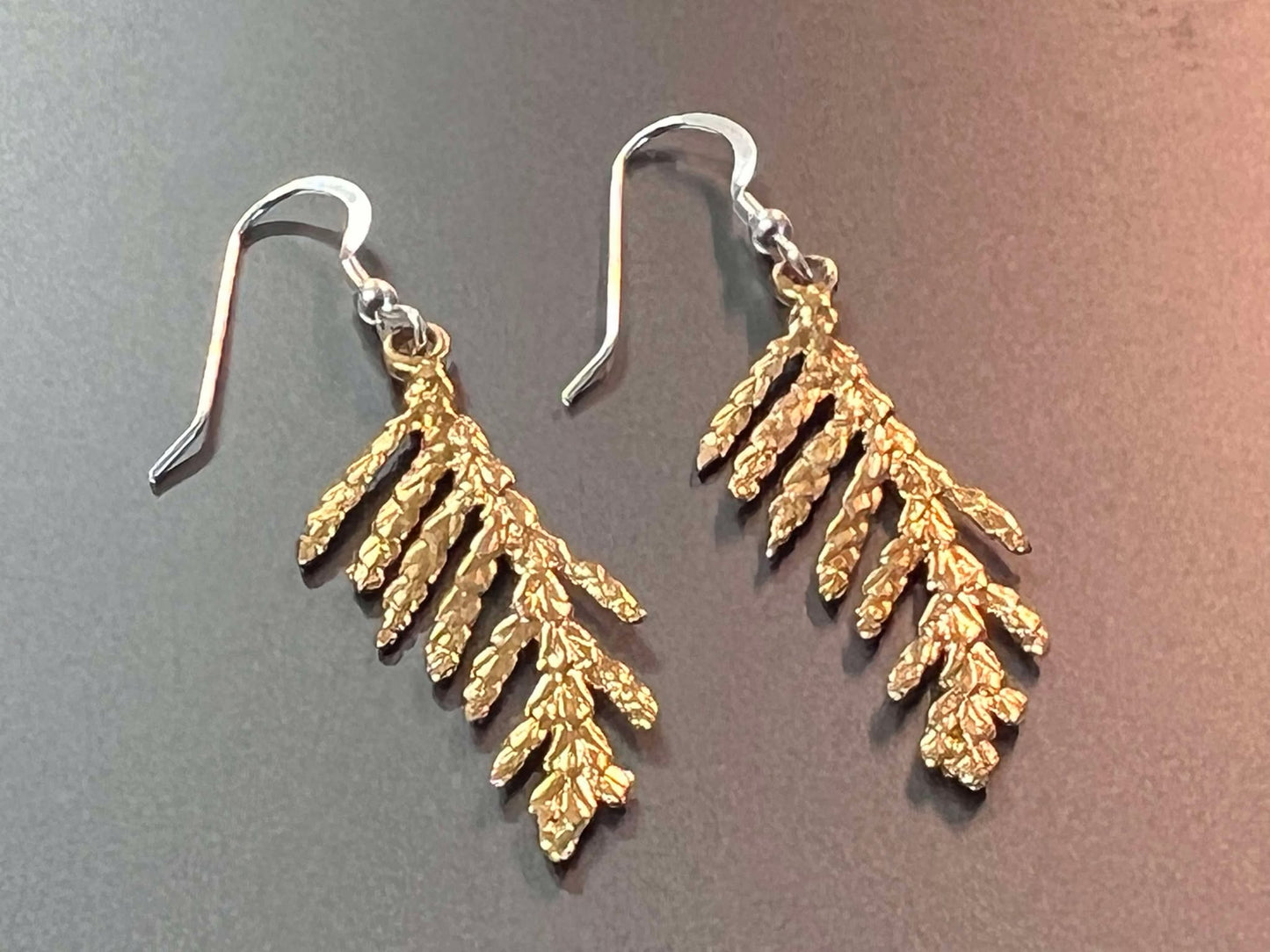 Bronze Earings