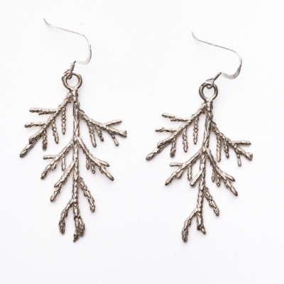 Yellow Cedar Silver Earrings
