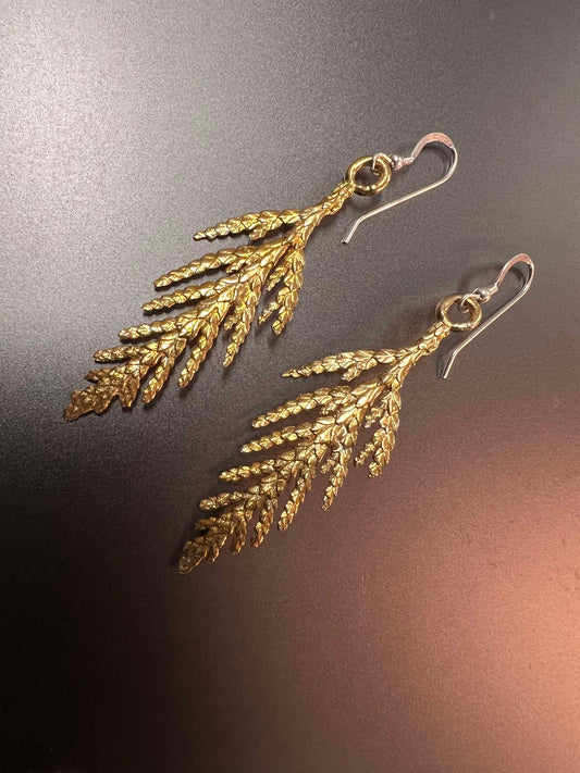 Large Size Cedar earings