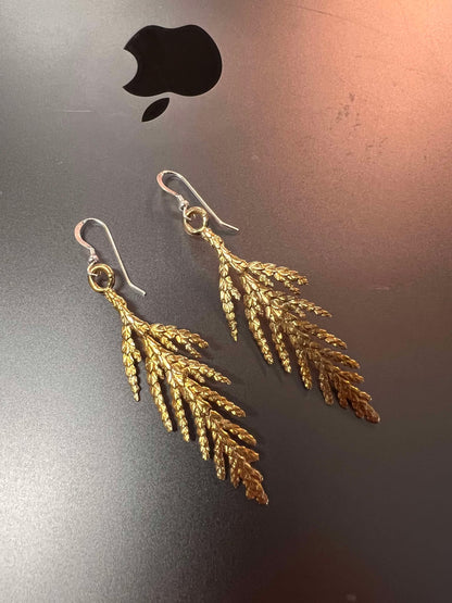 Red Cedar Earrings